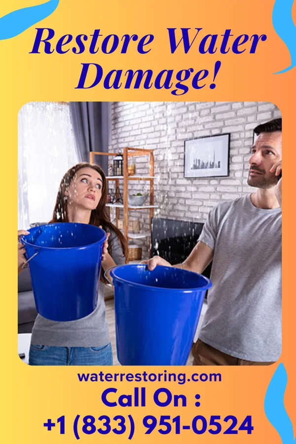 water restoration Extraction Masters Cresco