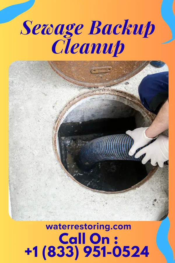 Sewage Backup Cleanup in Cresco, IA